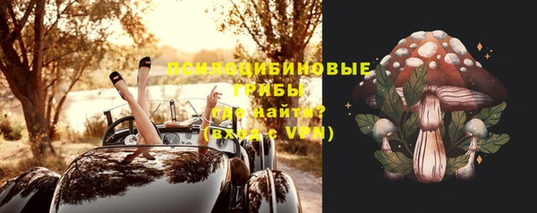 индика Алзамай