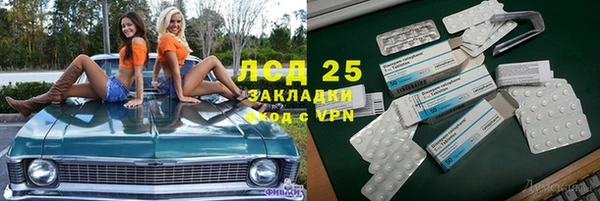 индика Алзамай
