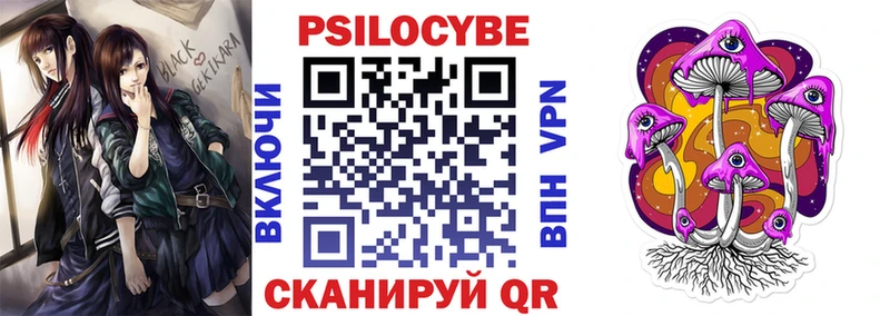 закладки  кракен ССЫЛКА  Галлюциногенные грибы Psilocybe  Елизово 