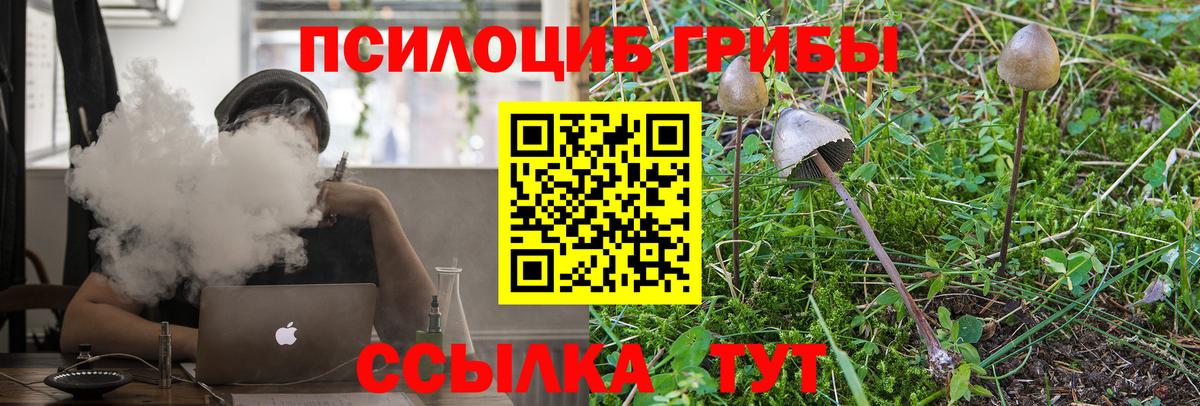 Галлюциногенные грибы Psilocybe  Псилоцибиновые грибы Cubensis  Елизово  Вход с VPN 