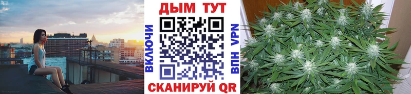 Бошки Шишки MAZAR  Елизово 