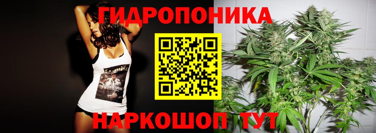 Елизово  Конопля Bruce Banner  Каннабис ГИДРОПОН  Вход с VPN  Марихуана индика 